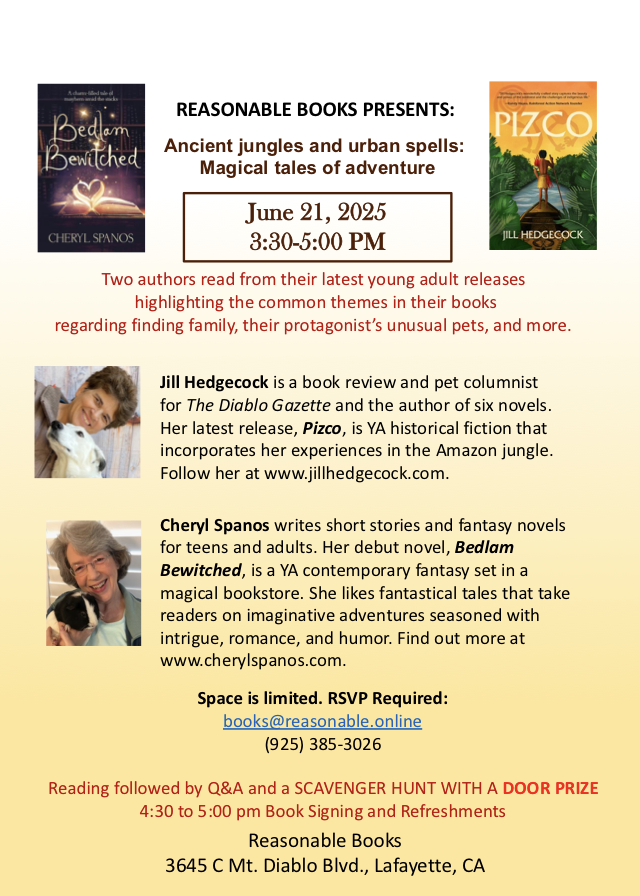 Flyer for our Author Book Event at Reasonable Books on June 21, 2025